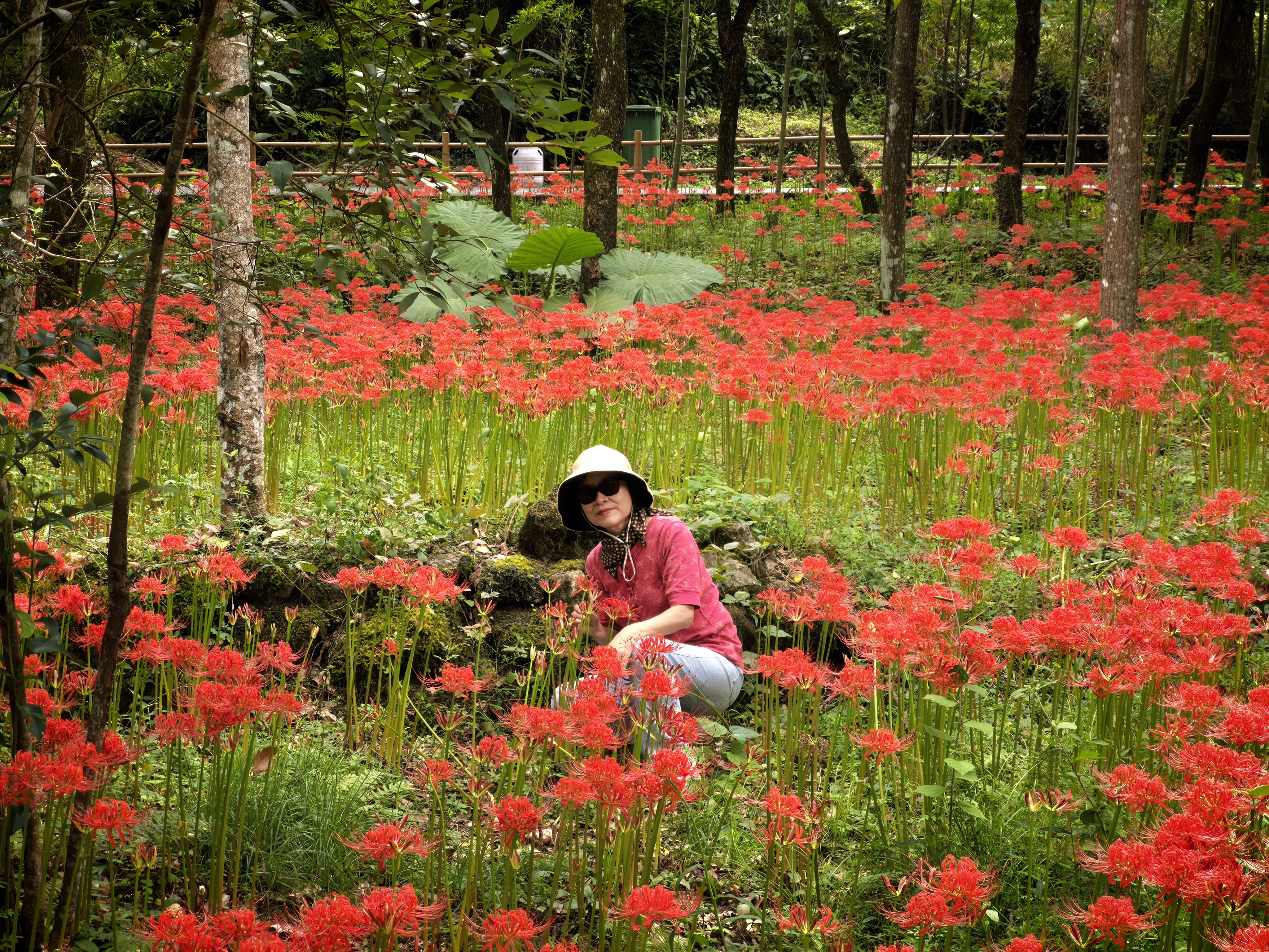 Vietnamese students out on a study trip