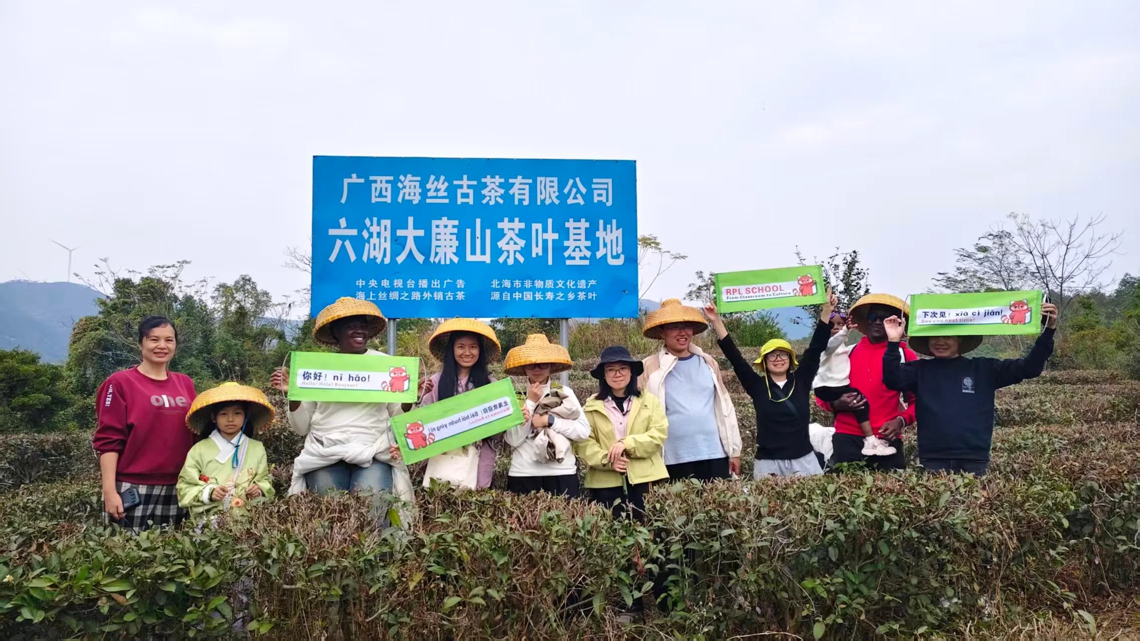 A school trip to pick tea in the hills