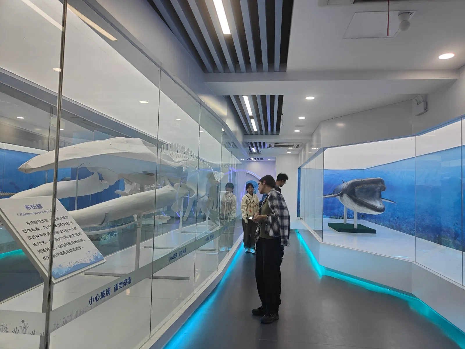 A visit to the aquarium in Beihai